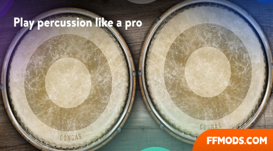Congas & Bongos: grupo de percussão
