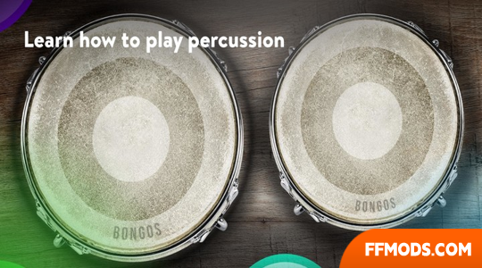 Congas & Bongos: grupo de percussão