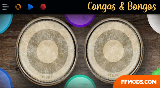 Congas & Bongos: grupo de percussão