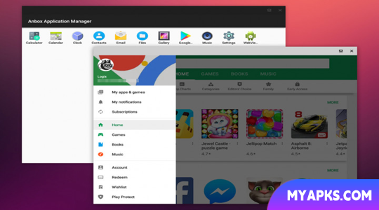 Google Play Store