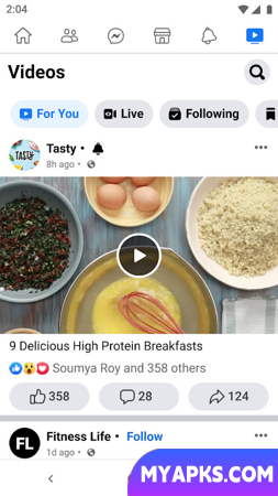 Facebook Lite