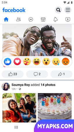 Facebook Lite