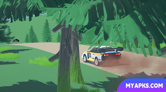 N3Rally