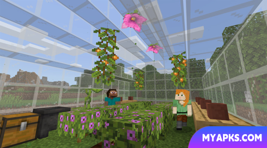 Minecraft: Education Edition
