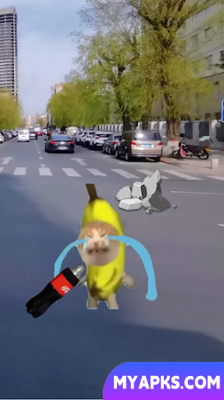 Série Banana - Meme do gato
