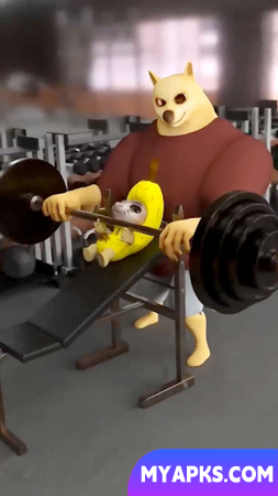 Série Banana - Meme do gato