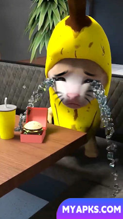 Série Banana - Meme do gato