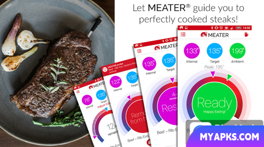 Termômetro de carne inteligente MEATER®