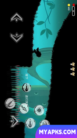 Shadow Mirror Escape