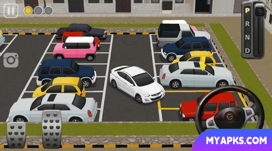 Dr. Parking 4