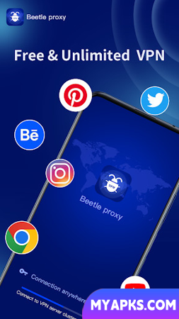Proxy de besouro