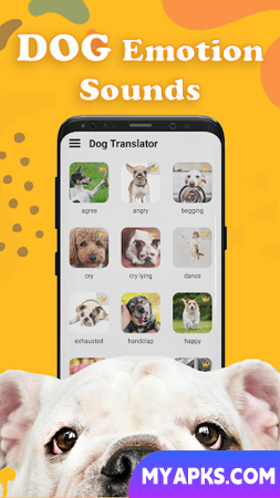 Simulador de pegadinhas para cães