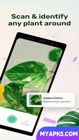 Plant Parent - meu guia de cuidados com as plantas