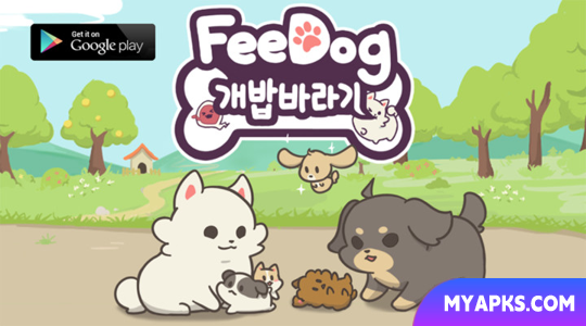FeeDog - Cães