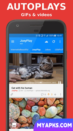 Joey para o Reddit