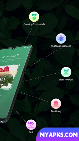 Identificação de plantas LeafSnap