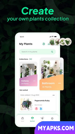 Identificação de plantas LeafSnap