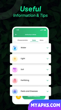 Identificação de plantas LeafSnap