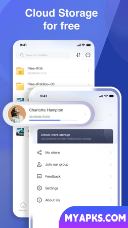 LinkBox:Armazenamento em nuvem