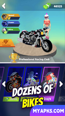 Wild Wheels: Corrida de bicicleta