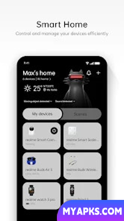 link realme