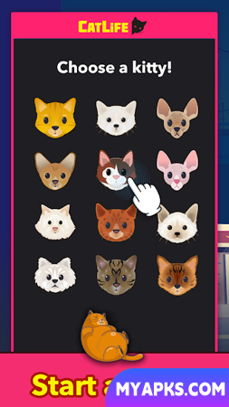 Gatos BitLife - CatLife