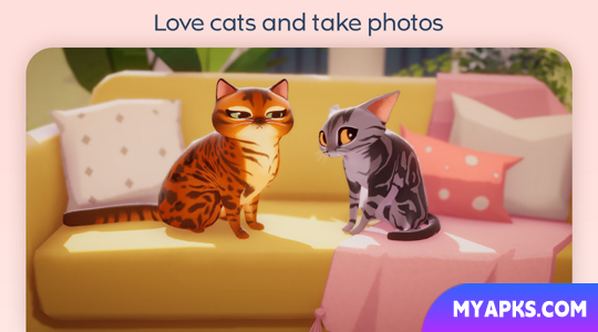 My Cat Club: Colecionando gatos bebês