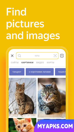Yandex