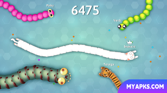 Snake.io - Jogo divertido do Pacman.io!