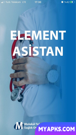 Elemento Asistan