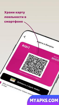 kari: calçados e acessórios