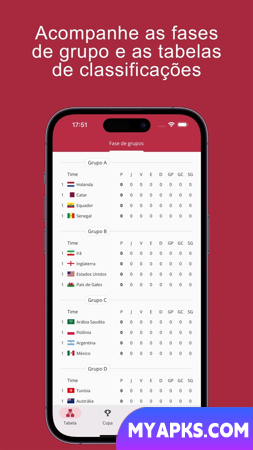 Futebol da Copa