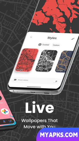 Cartogram - Papel de parede de mapa ao vivo
