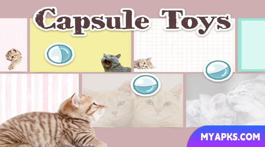 Bloco de notas : Cat - Notes