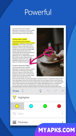 Microsoft Word: Editar documentos
