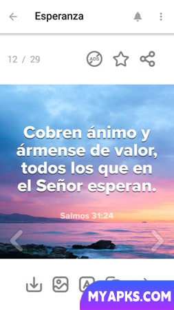 Versículo do dia - A Bíblia