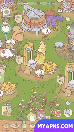 Cats and Soup Edição Netflix