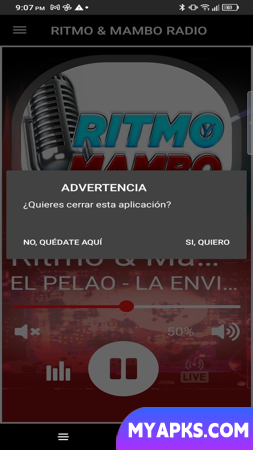 Rádio Ritmo e Mambo