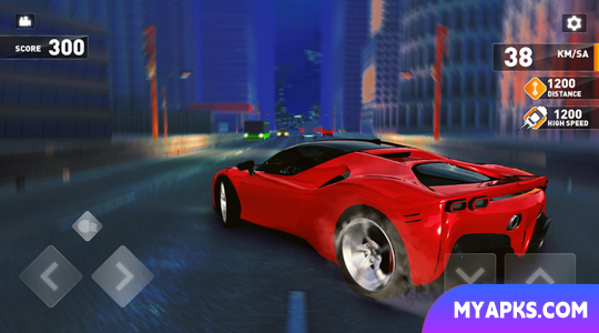 PetrolHead Highway Racing