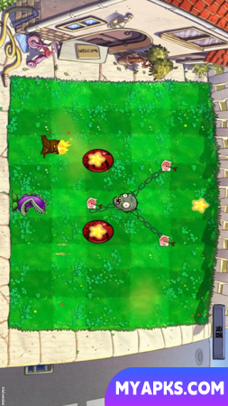 PVZge