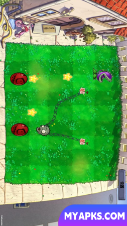 PVZge