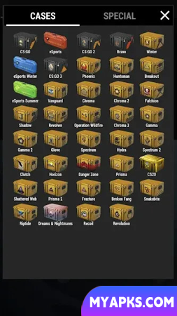 Case Simulator 2