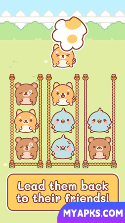 Pet Shuffle