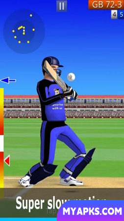 Smashing Cricket: jogo de críquete