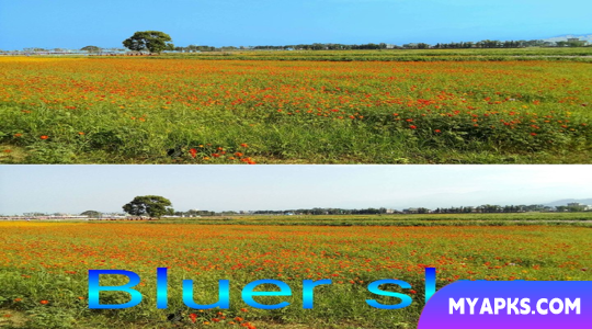 Editor de fotos/gráficos vetoriais