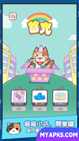 Gato como gerente de loja