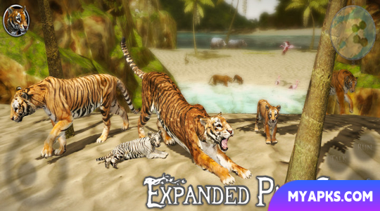 Ultimate Tiger Simulator 2