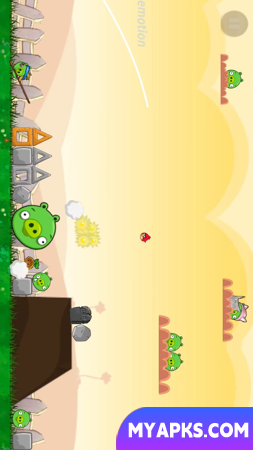 Planta VS Porco