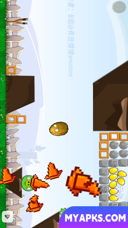 Planta VS Porco