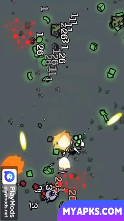 Irmãos Batata Online